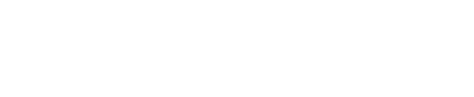 Strobius logo